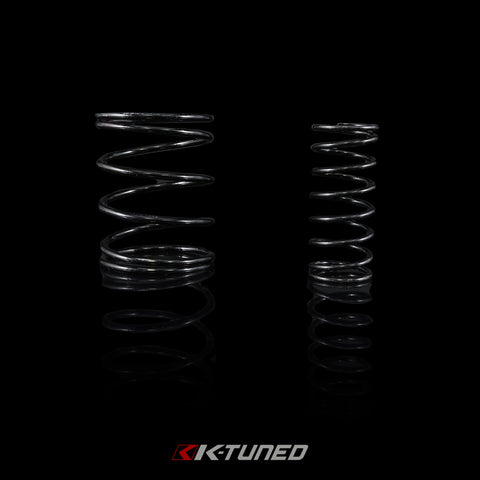 Shift Selector Spring